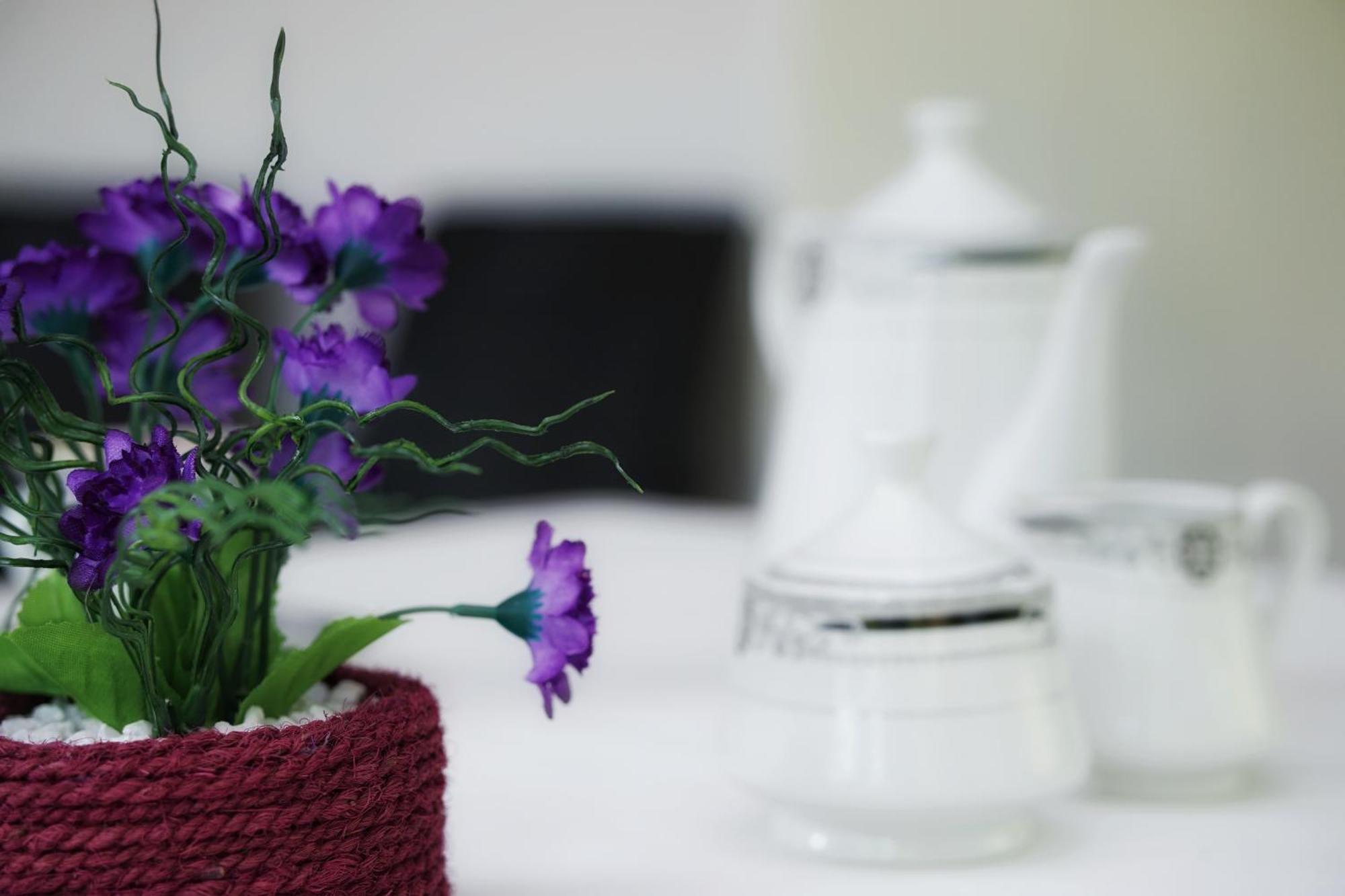 Sashini Homestay Sigirija Zewnętrze zdjęcie